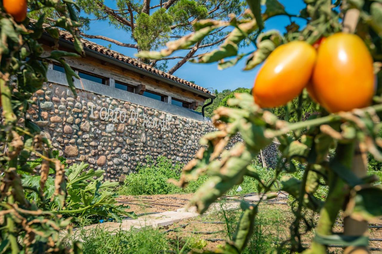 Agriturismo La Pertica コステロマーノ エクステリア 写真