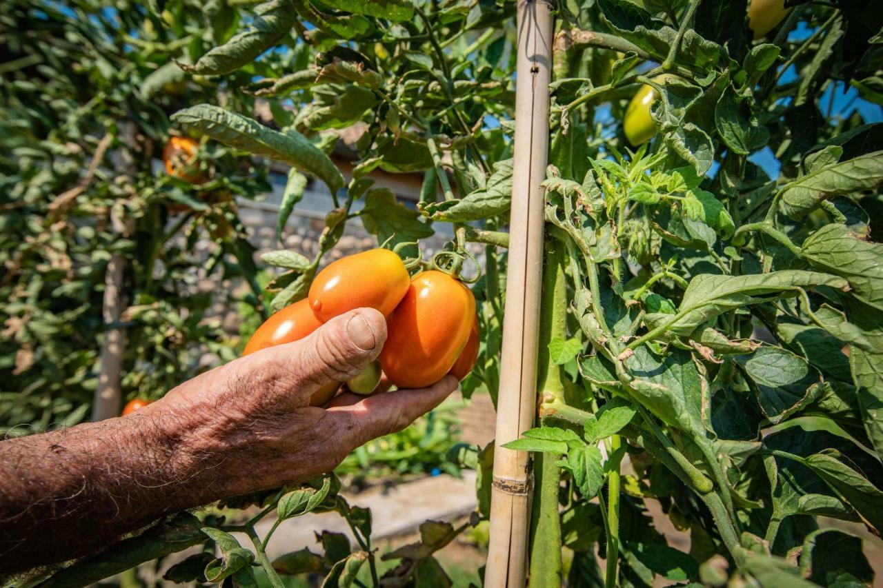 Agriturismo La Pertica コステロマーノ エクステリア 写真